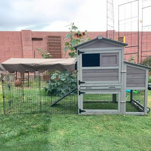 Aivituvin AIR7008 Wooden Chicken Coop with Wheels, 2 to 4 Chicken Capacity