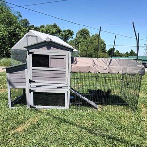 Aivituvin AIR7008 Wooden Chicken Coop with Wheels, 2 to 4 Chicken Capacity