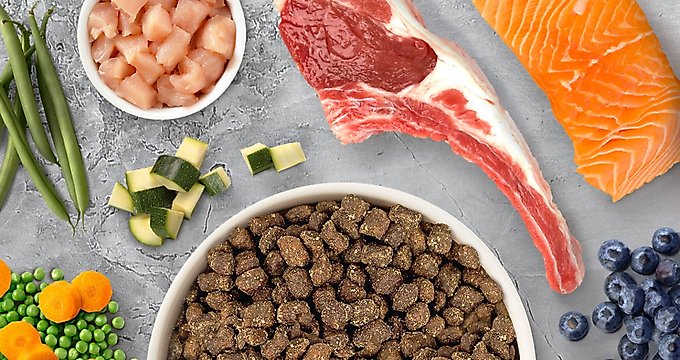 Mohali Bakers Best Dry Food For Greyhounds Mohali Bakers Best Dog