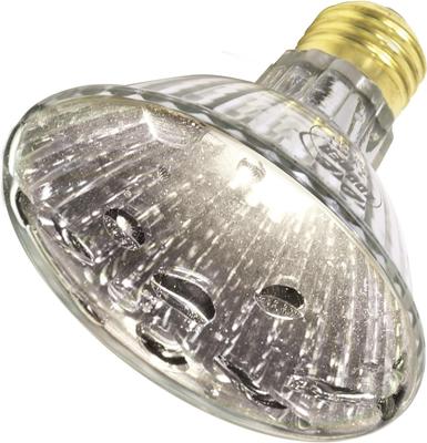 Show full view: Zoo Med Repti Tuff Splashproof Halogen Reptile Terrarium Lamp, 75-watt slide 4 of 7