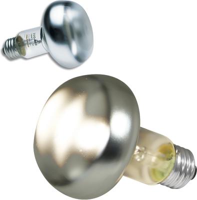 Show full view: Zoo Med Repti Basking Reptile Spot Lamp, 100-watt, 2 count slide 3 of 8