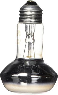 Show full view: Zoo Med Repti Basking Reptile Spot Lamp, 75-watt, 2 count slide 2 of 12