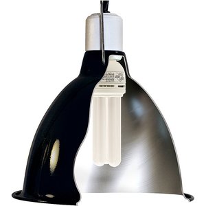 Zoo Med ReptiSun 10.0 UVB Compact Fluorescent Reptile Lamp, 26-Watt