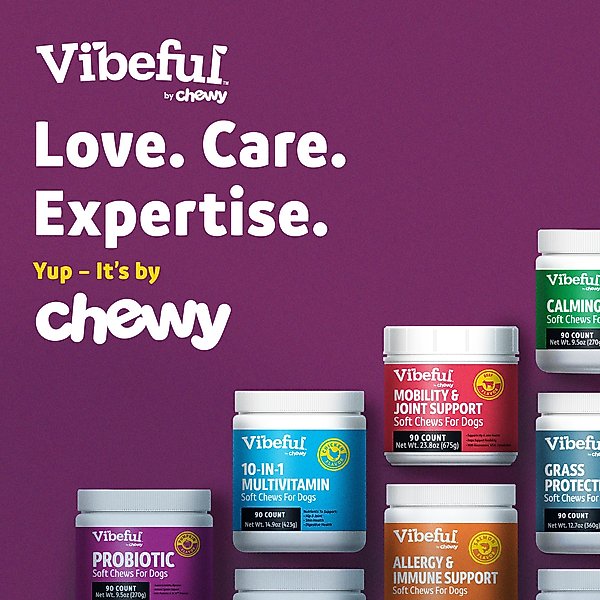 Show full view: Vibeful Probiotic Bites Pumpkin Flavored Soft Chews Digestive Supplement for Dogs, 14 count slide 7 of 8