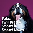 Show in main carousel: Vibeful Probiotic Bites Pumpkin Flavored Soft Chews Digestive Supplement for Dogs, 14 count slide 6 of 8