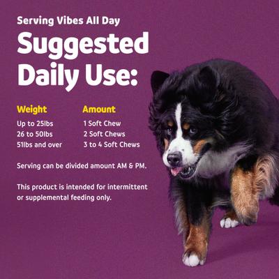 Show full view: Vibeful Probiotic Bites Pumpkin Flavored Soft Chews Digestive Supplement for Dogs, 14 count slide 6 of 9