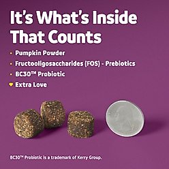 Vibeful Favorites Bundle – Multivitamin & Digestive Health Peanut Butter & Pumpkin Dog Soft Chew Supplements, 28 count slide 2 of 9