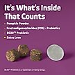 Show in main carousel: Vibeful Probiotic Bites Pumpkin Flavored Soft Chews Digestive Supplement for Dogs, 14 count slide 4 of 8