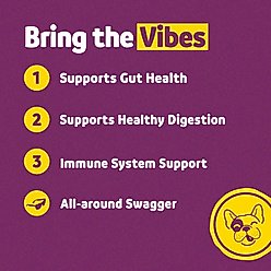 Vibeful Favorites - Mobility, Probiotic & Allergy Beef, Pumpkin, & Peanut Butter Dog Soft Chew Supplements, 42 count bundle slide 2 of 9