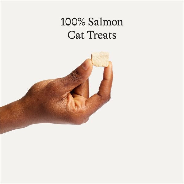 Finfare Smoked Salmon Nugget Freeze-Dried Cat Treats