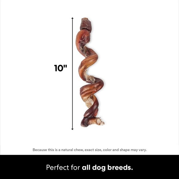 Bones & Chews Made in USA Smoked Curly Bully Stick 6-9" Dog Chew Treat