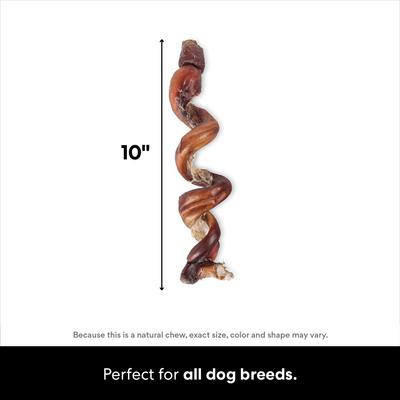 Show full view: Bones & Chews Made in USA Curly Bully Stick 6-9" Dog Chew Treats, 3 count slide 4 of 10
