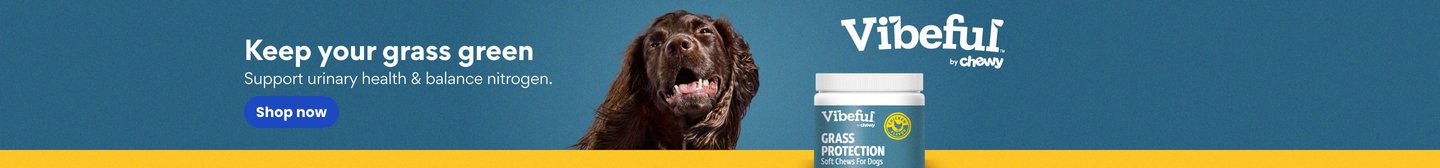 Keep your grass green. Support urinary health & balance nitrogen. Shop now.