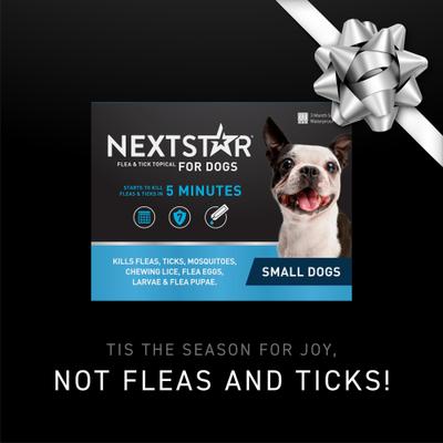 Show full view: NextStar Flea & Tick Spot Treatment for Small Dogs, 5-22 lbs, 3 Doses (3-mos. supply) slide 2 of 9