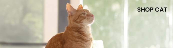 Shop Cat
