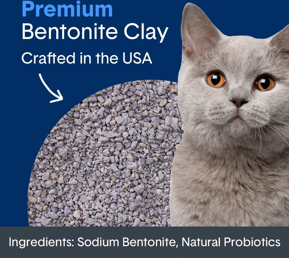 Picture of BOXIECAT Self-Cleaning Probiotic Clumping Clay Cat & Kitty Litter, 40 ...