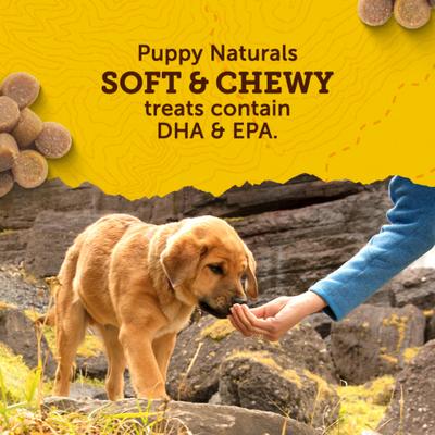 Show full view: Zuke's Puppy Naturals Salmon Recipe Soft & Chewy Training Dog Treats, 5-oz pouch slide 6 of 13