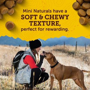 Zuke's Mini Naturals Peanut Butter & Oats Recipe Training Dog Treats, 1-lb bag