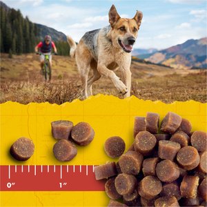 Zuke's Mini Naturals Peanut Butter & Oats Recipe Training Dog Treats, 1-lb bag