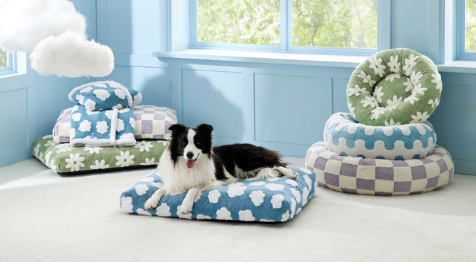 Lesure Indoor & Outdoor Soft-Sided Collapsible 4-Door Dog & Cat Travel Crate Kennel with Durable Mesh Windows