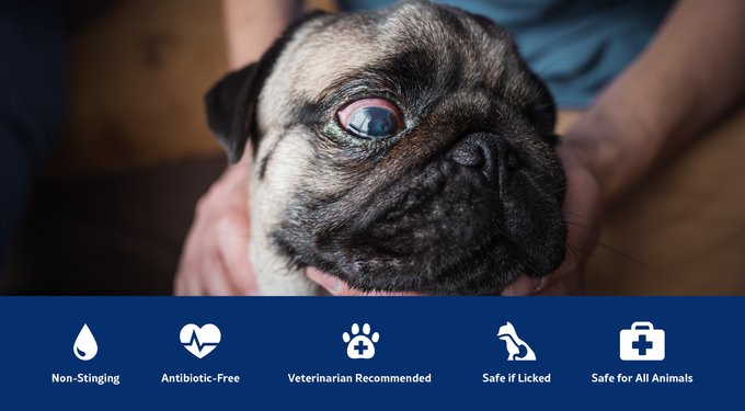 Vetericyn Plus Antimicrobial Eye Wash for Dogs, Cats, Horses & Small Pets