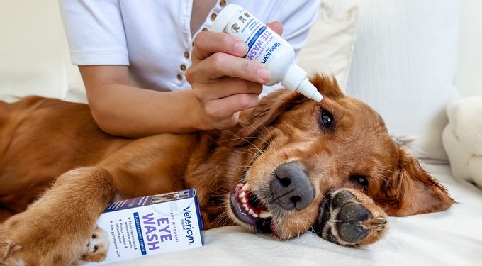 Vetericyn Plus Antimicrobial Eye Wash for Dogs, Cats, Horses & Small Pets