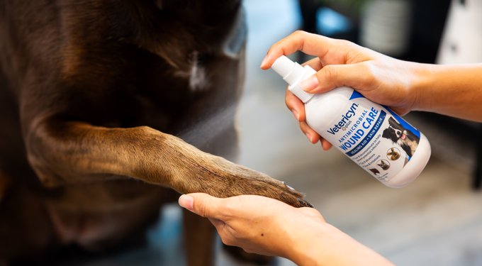 Vetericyn Plus Antimicrobial Wound Care Spray for Dogs, Cats, Horses, Birds & Small Pets
