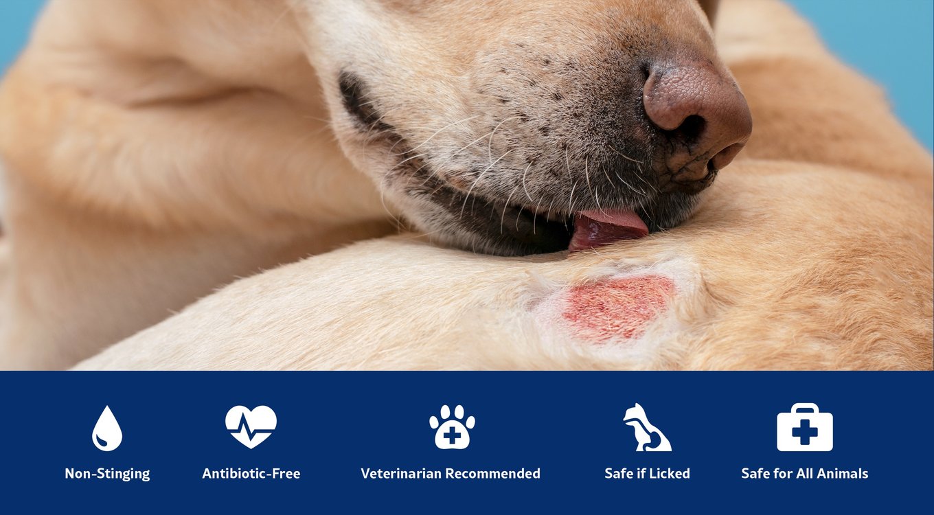 ClearFur Hot Spots & Itchiness Skin Cream Wound Care for Dogs, Cats Small Pets & Horses