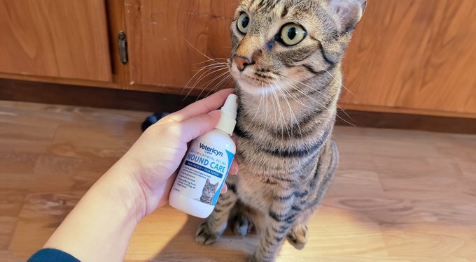 Vetericyn Plus Antimicrobial Cat Wound Care Spray