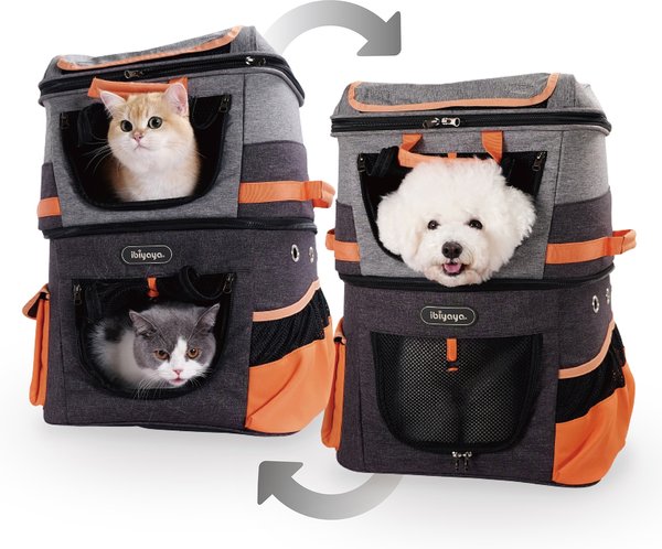 Chewy cat backpack online