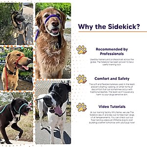 Heather's Heroes The Sidekick Transitional Dog Training Leash, Black, Regular: 6-ft long, 3/8-in wide