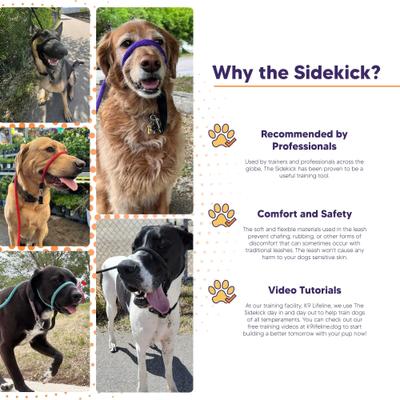 Show full view: Heather's Heroes The Sidekick Transitional Dog Training Leash, Black, Regular: 6-ft long, 3/8-in wide slide 6 of 8