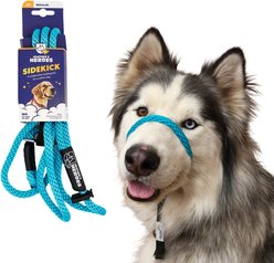 Heather's Heroes The Sidekick Transitional Dog Training Leash, Turquoise, Regular: 6-ft long, 3/8-in wide