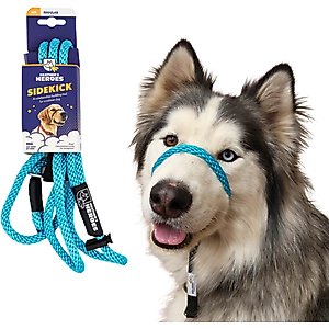 Heather's Heroes The Sidekick Transitional Dog Training Leash, Turquoise, Regular: 6-ft long, 3/8-in wide