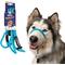 Show in main carousel: Heather's Heroes The Sidekick Transitional Dog Training Leash, Turquoise, Regular: 6-ft long, 3/8-in wide slide 1 of 8