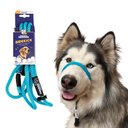 Heather's Heroes The Sidekick Transitional Dog Training Leash, Turquoise, Regular: 6-ft long, 3/8-in wide
