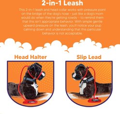 Heather's Heroes The Sidekick Transitional Dog Training Leash, Black, Regular: 6-ft long, 3/8-in wide slide 2 of 6