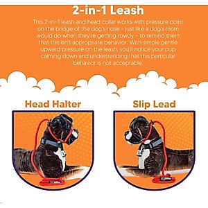 Heather's Heroes The Sidekick Transitional Dog Training Leash, Black, Regular: 6-ft long, 3/8-in wide