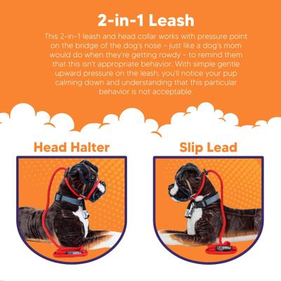 Show full view: Heather's Heroes The Sidekick Transitional Dog Training Leash, Black, Regular: 6-ft long, 3/8-in wide slide 3 of 8