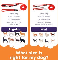 Heather's Heroes The Sidekick Transitional Dog Training Leash, Black, Mini: 6-ft long, 1/4-in wide slide 2 of 6