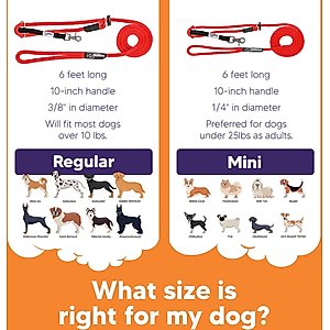 Heather's Heroes The Sidekick Transitional Dog Training Leash, Black, Regular: 6-ft long, 3/8-in wide