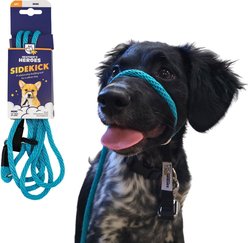 Heather's Heroes The Sidekick Transitional Dog Training Leash, Turquoise, Mini: 6-ft long, 1/4-in wide