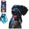 Show in main carousel: Heather's Heroes The Sidekick Transitional Dog Training Leash, Turquoise, Mini: 6-ft long, 1/4-in wide slide 1 of 8