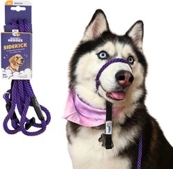 Heather's Heroes The Sidekick Transitional Dog Training Leash, Purple, Regular: 6-ft long, 3/8-in wide