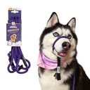 Heather's Heroes The Sidekick Transitional Dog Training Leash, Purple, Regular: 6-ft long, 3/8-in wide