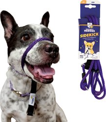 Heather's Heroes The Sidekick Transitional Dog Training Leash, Purple, Mini: 6-ft long, 1/4-in wide