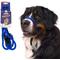 Show in main carousel: Heather's Heroes The Sidekick Transitional Dog Training Leash, Blue, Regular: 6-ft long, 3/8-in wide slide 1 of 8