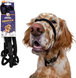 Heather's Heroes The Sidekick Transitional Dog Training Leash, Black, Regular: 6-ft long, 3/8-in wide