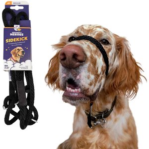 Heather's Heroes The Sidekick Transitional Dog Training Leash, Black, Regular: 6-ft long, 3/8-in wide