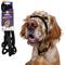 Show in main carousel: Heather's Heroes The Sidekick Transitional Dog Training Leash, Black, Regular: 6-ft long, 3/8-in wide slide 1 of 8